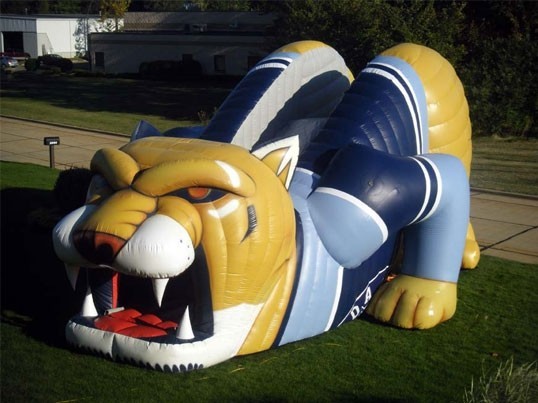 inflatable bouncers on sale