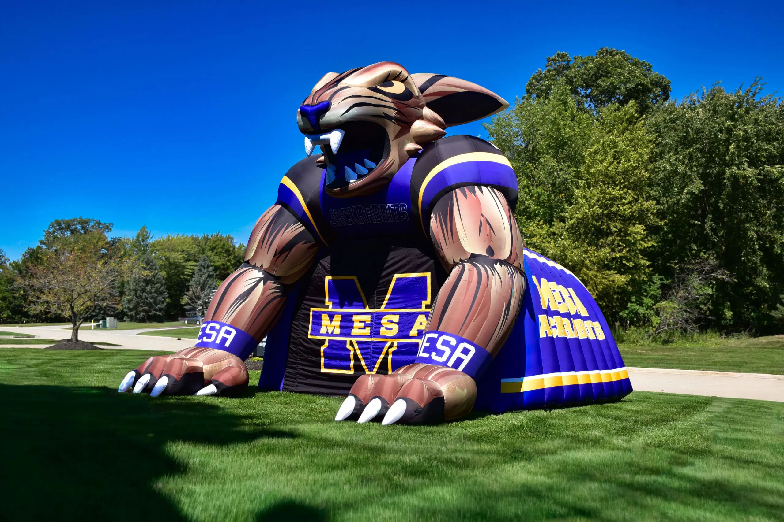 Custom inflatable entrance tunnel designed for sports, school and event applications.